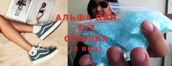 прущие грибы Армянск