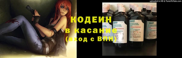 прущие грибы Армянск