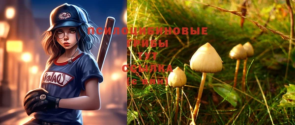 прущие грибы Армянск