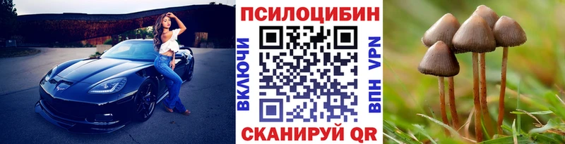 Галлюциногенные грибы Psilocybe  как найти наркотики  KRAKEN вход  Новоульяновск 